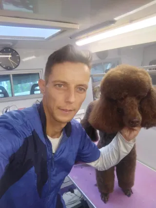 Peluquero de mascotas a domicilio