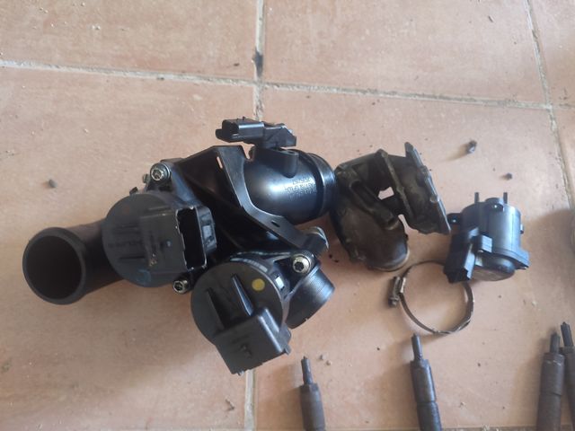 Inyectores, turbo, mariposa & EGR 1.6 TDCi y HDI