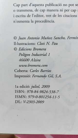 Piccolo flauta 1. Projecte Aventura