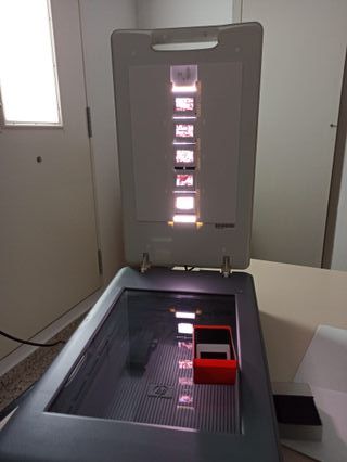 SCANEARE marca HP modello G4010