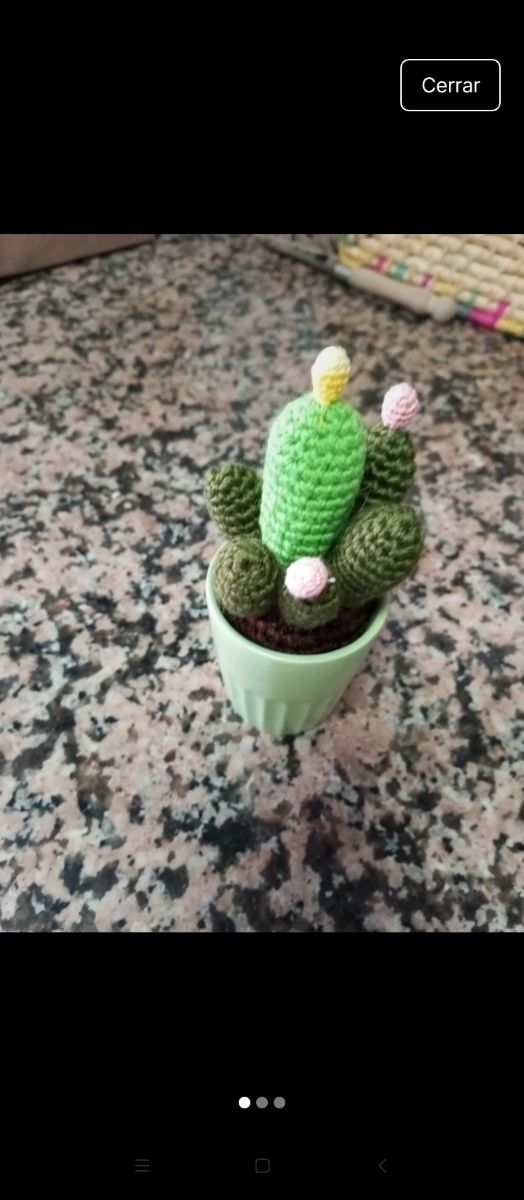 Cactus amigurumi de crochet