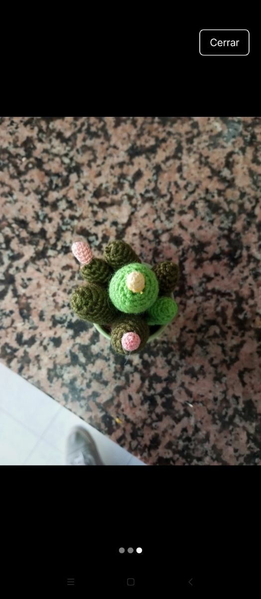 Cactus amigurumi de crochet