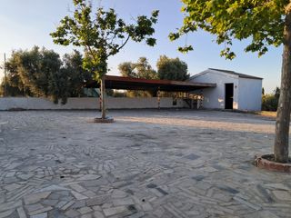 Finca rústica con chalet a reformar