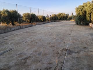 Finca rústica con chalet a reformar