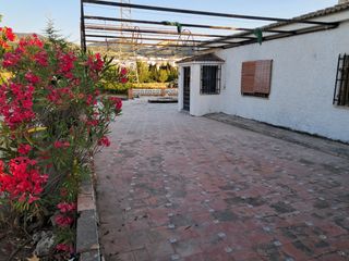 Finca rústica con chalet a reformar