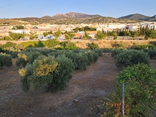 Finca rústica con chalet a reformar