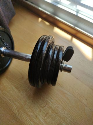 Mancuernas 28kg - 20 discos