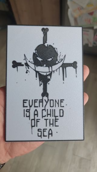 Quadro One Piece - Stampa 3D