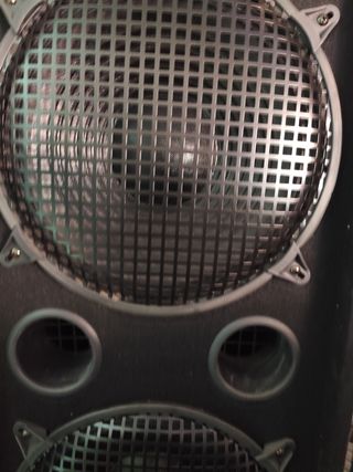 Pareja Altavoces Malone 1000w 12" + Trompeta