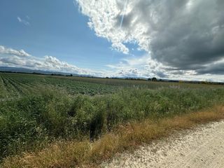 Finca rústica - terreno