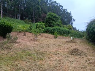 Mantenimiento de fincas. 618820272