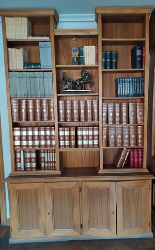 Librería madera marrón