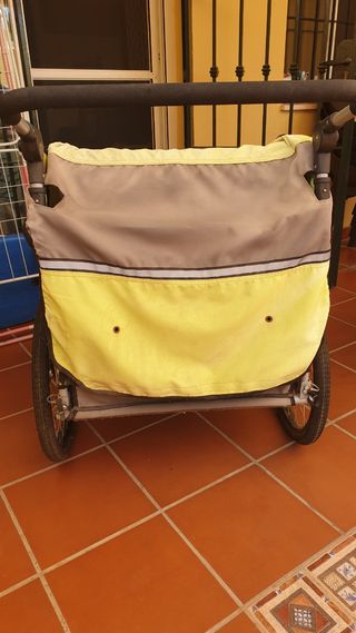 Remolque bici doble niño