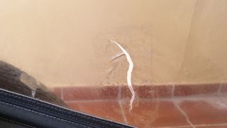 Remolque bici doble niño