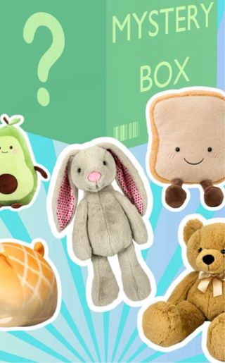 Mystery Box Peluche: Sorpresa!