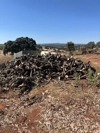 Leña para chimenea , estufas y hornos- Económica