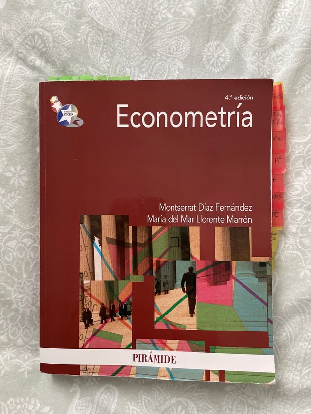 Econometría (Spanish Edition)
