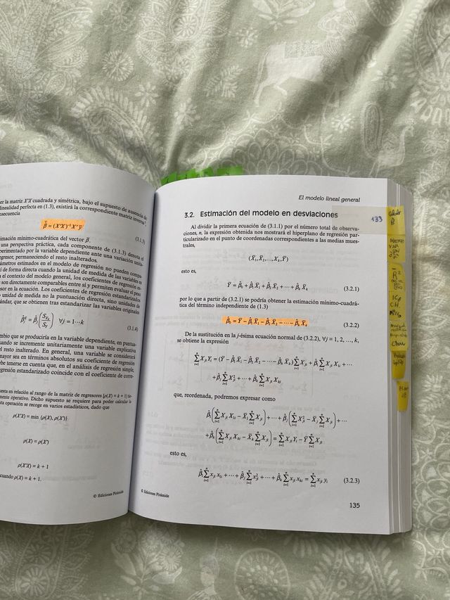 Econometría (Spanish Edition)