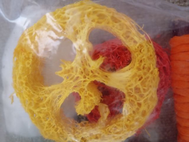 7 juguetes para cobayas. De materiales naturales.