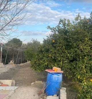 Terreno rústico - 1100m2