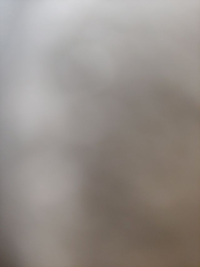 Puerta madera roble maciza