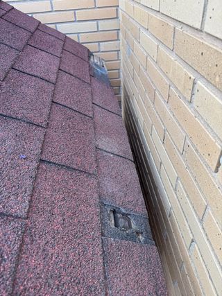 Caseta perro madera maciza