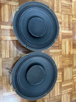 Altavoces de 12 pulgadas