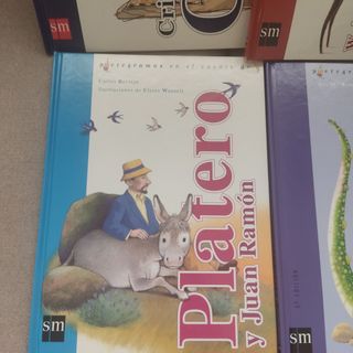 Lote 6 libros con pictogramas.S.M.