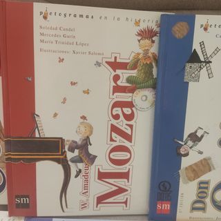 Lote 6 libros con pictogramas.S.M.