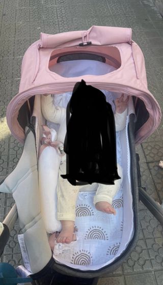 Bugaboo Bee conjunto