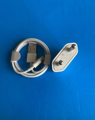 Caricatore Apple iPhone/iPad + Cavo USB