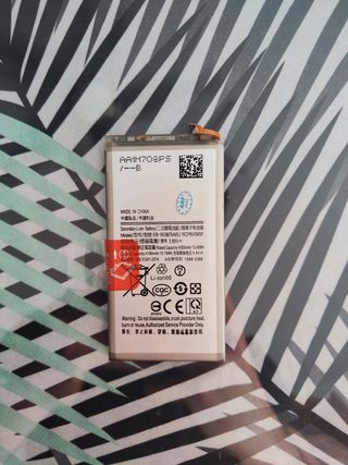 Batteria Samsung Galaxy S10+