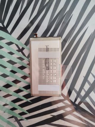 Batteria Samsung Galaxy S10+