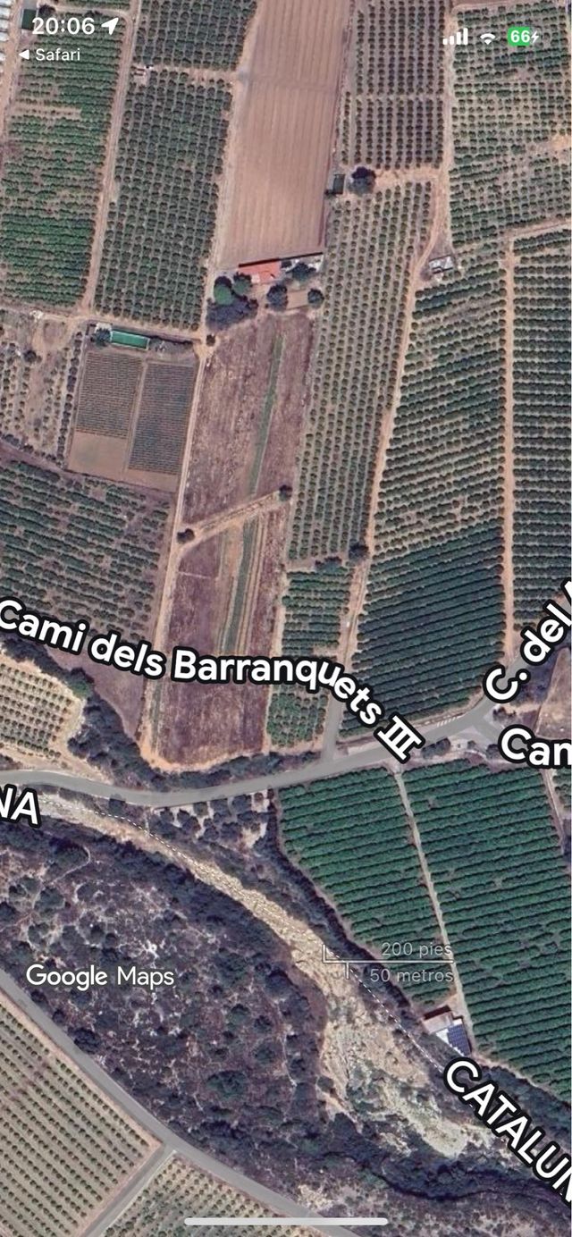 Finca rústica con derecho a pozo y regadio.Alcanar