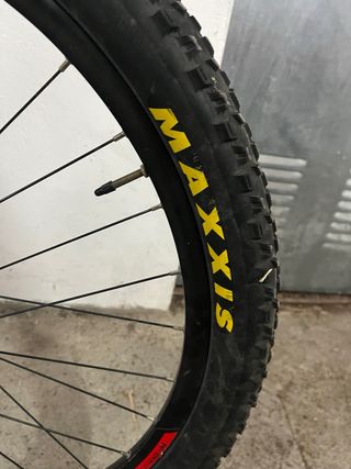 Orbea Occam TR - Bici de montaña