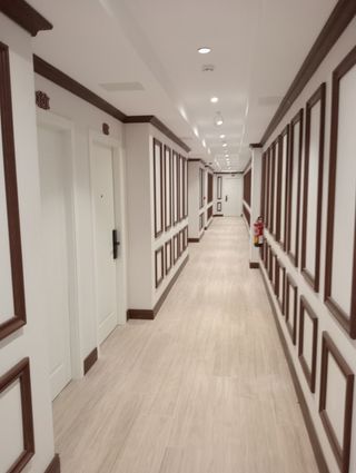 Carpintero: Puertas, armarios, tarima, rodapié.