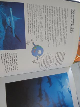 Animales muy salvajes