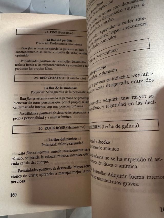 Las flores de Bach: preguntas y respuestas