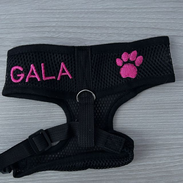 Arnés personalizado para mascotas