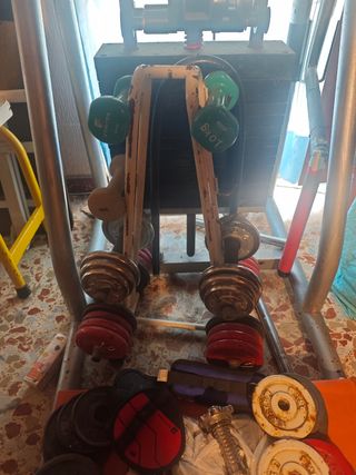 Máquina y Equipo de Musculación.