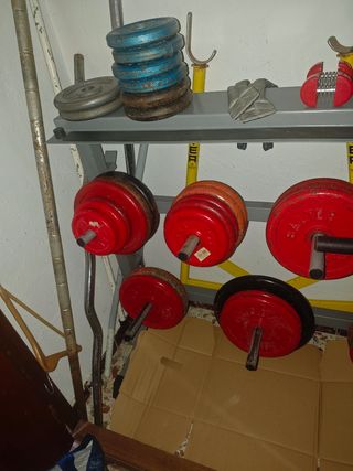 Máquina y Equipo de Musculación.