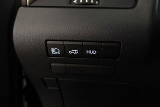 Lexus RX 450h Executive 313cv AWD