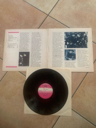 Vinile 33 giri Rock - 2 dischi