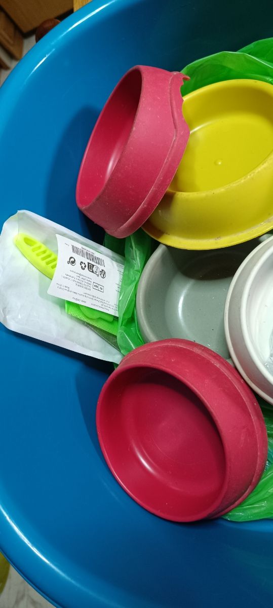 Trasportino Gatti Verde e nero, più vari accessori