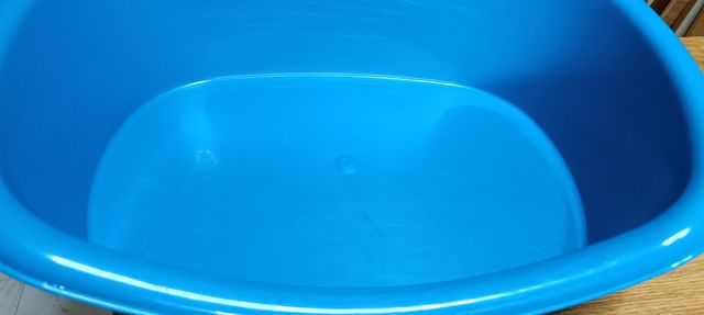 Trasportino Gatti Verde e nero, più vari accessori