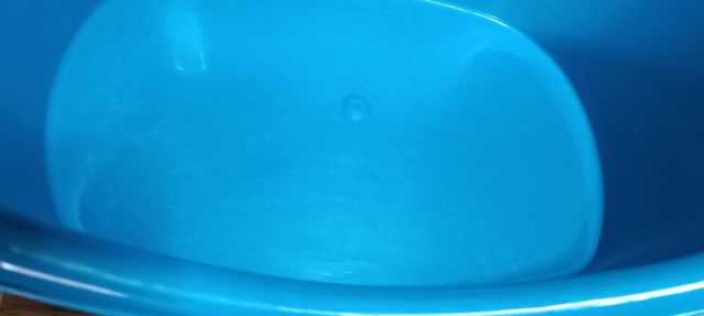 Trasportino Gatti Verde e nero, più vari accessori