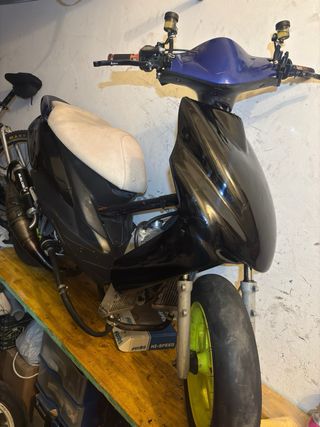 JOG COMPETICIÓN MALOSSI