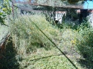 Podas en altura, desbroces y servicios de jardin