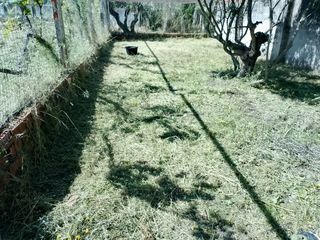 Podas en altura, desbroces y servicios de jardin