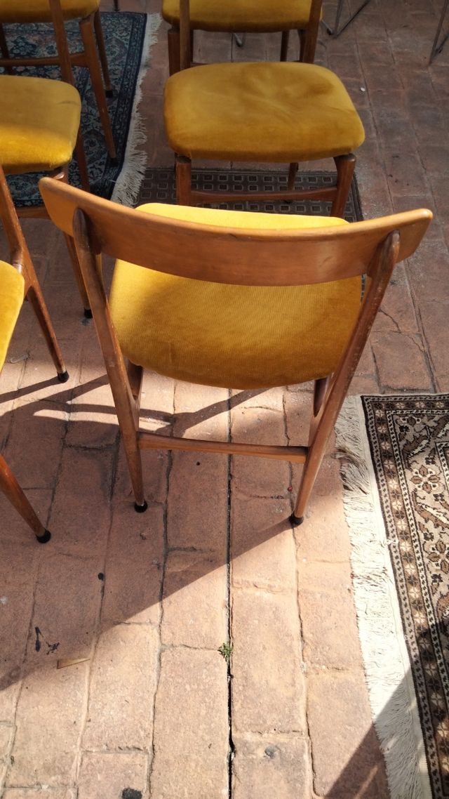 6 Sillas vintage danesas